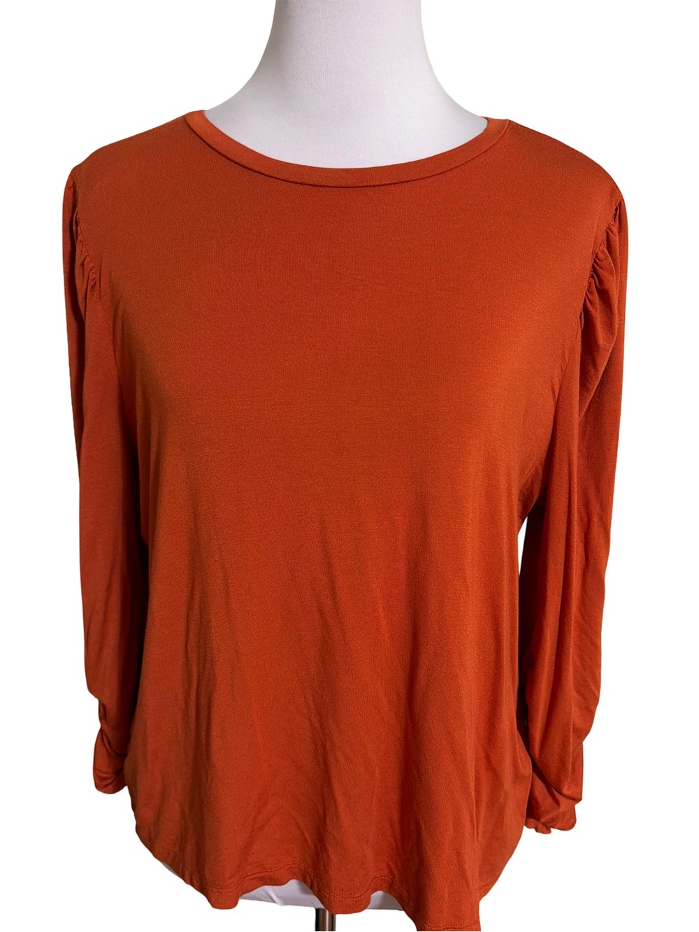 Ann Taylor Burnt Orange Long Sleeve Crewneck Blouse
